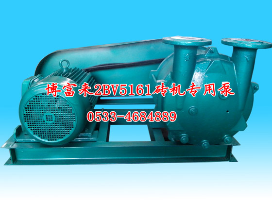 博富来2BV5161砖机专用泵