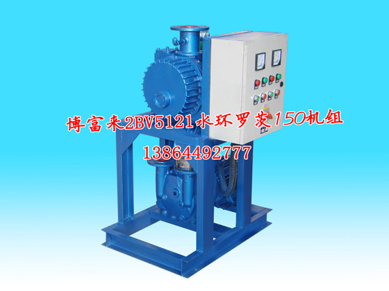 博富来2BV5121水环罗茨150机组
