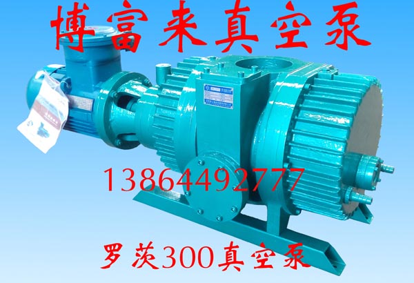 罗茨300真空泵