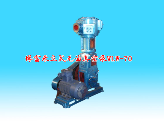 博富来立式无油真空泵WLW-70